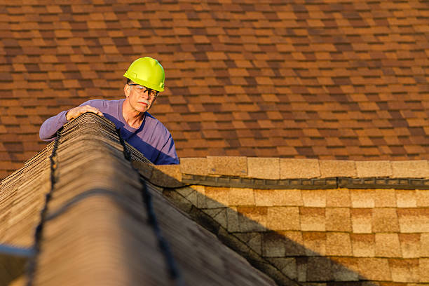 Gutter Installation and Roofing in Tower Lakes, IL
