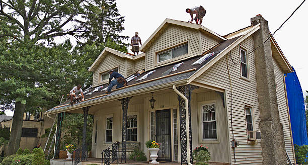 Best Storm Damage Roof Repair  in Tower Lakes, IL